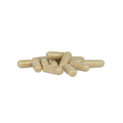 Carbohydrate Protector 24 (CP24) 120 tobolek