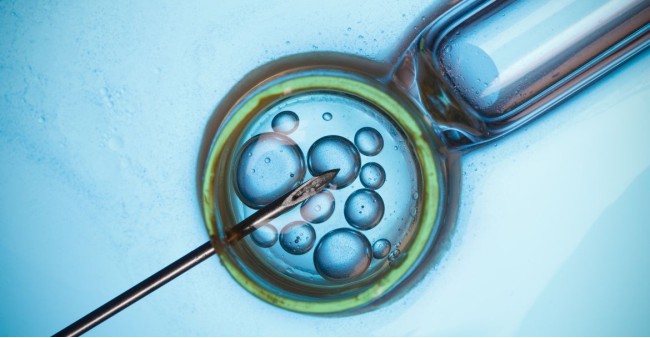 Kyselina hyaluronová a její přínos při otěhotnění a IVF
